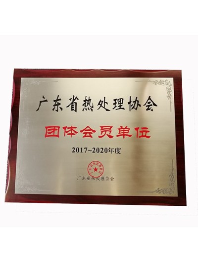 鸿运国际科学-广东省热处理协会会员